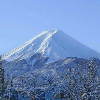 枪神修仙传手机版(暂未上线)v1.0 安卓最新版